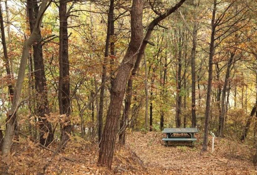 Пансион Buye Glamping Pan