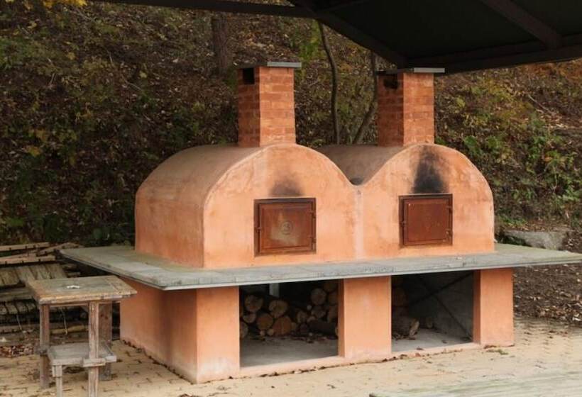 Пансион Buye Glamping Pan