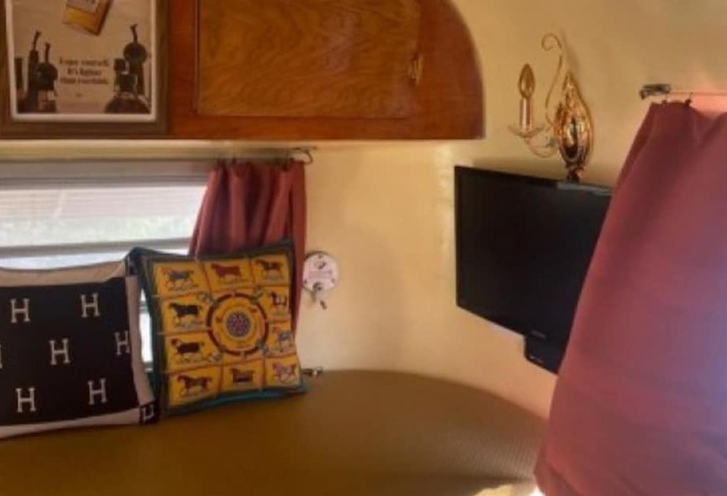 פנסיון Out Of Park