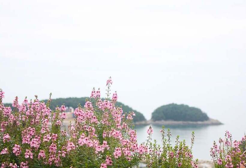 بنسيون Namhae Guest House Mi