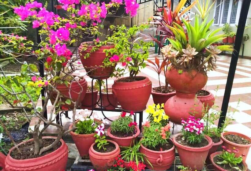 Bed and Breakfast Ubex Home Dehradun