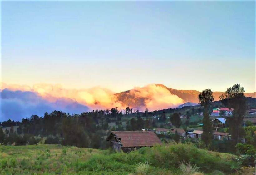ホテル Rahayu Jawarika Bromo