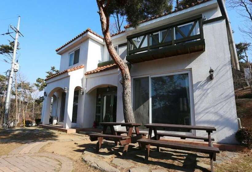 Taean Pine Wealth Pension