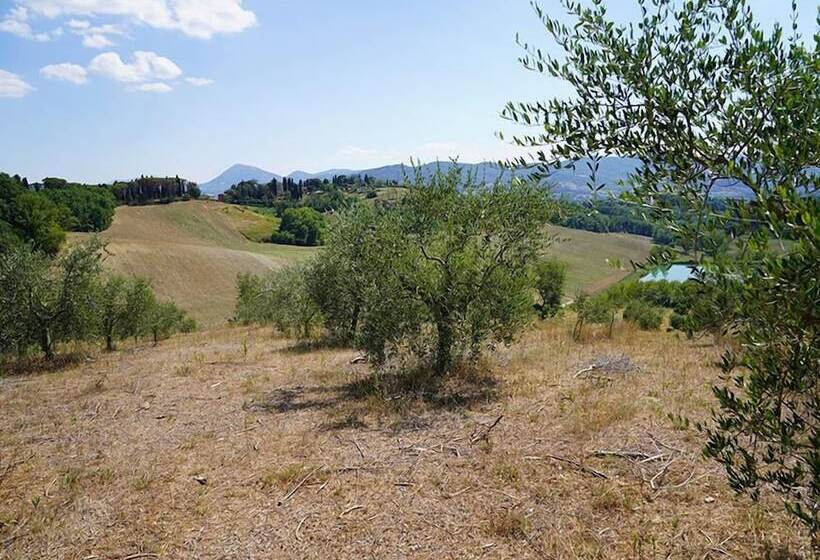 مبيت وإفطار Agriturismo Il Sarale   Umbria