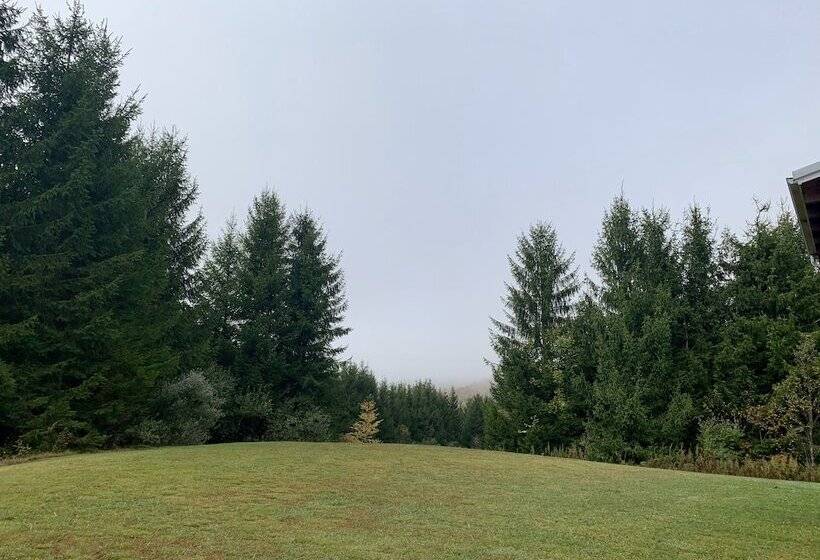 Elk Springs Resort