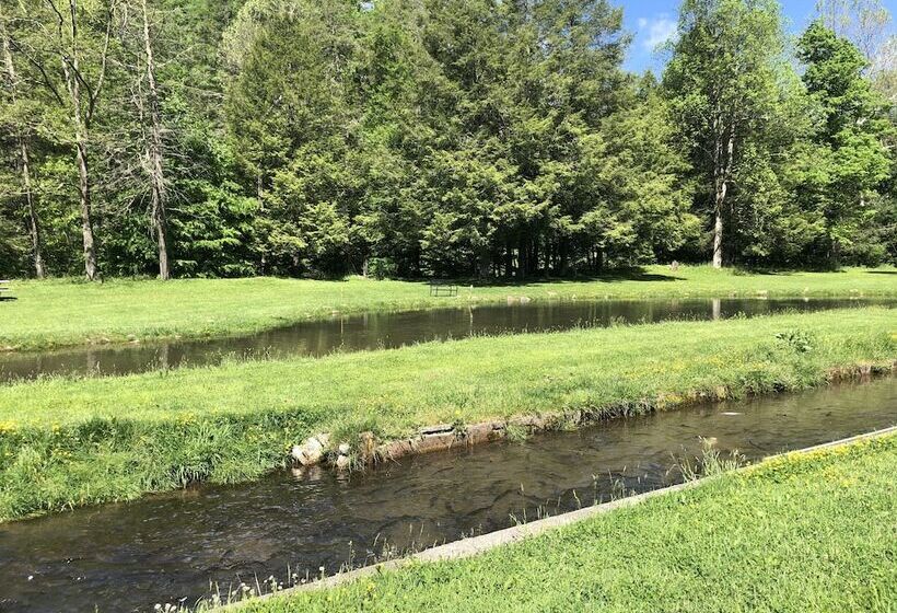 Elk Springs Resort