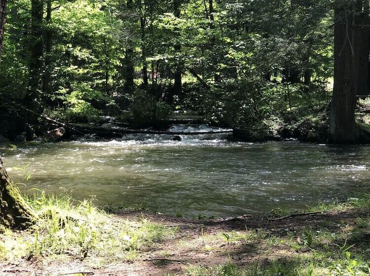 Elk Springs Resort