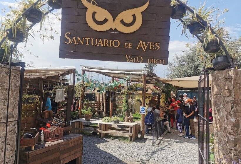 هتل Canaria Valquirico