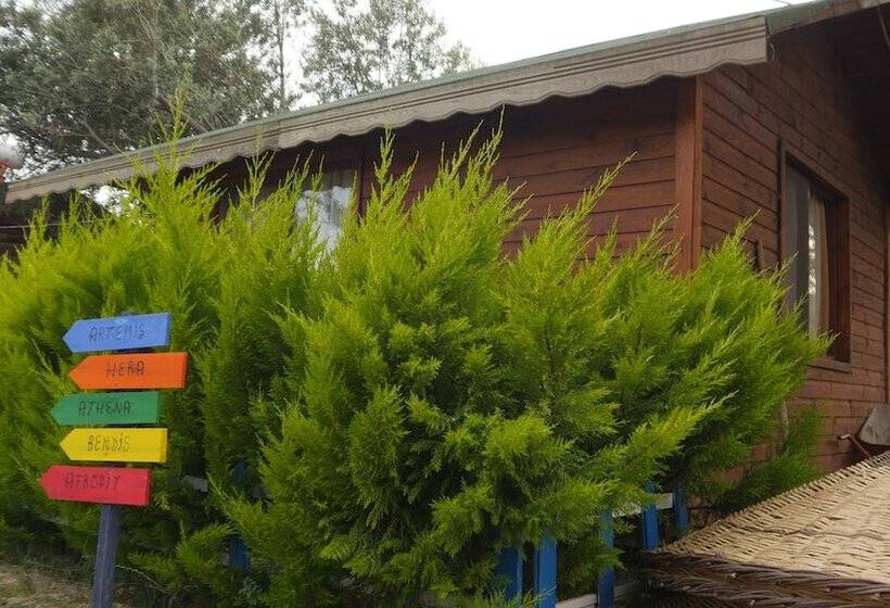 ホテル Concept Bungalow