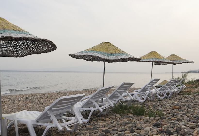 ホテル Concept Bungalow