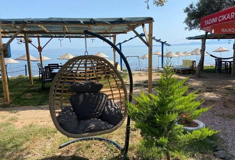 ホテル Concept Bungalow