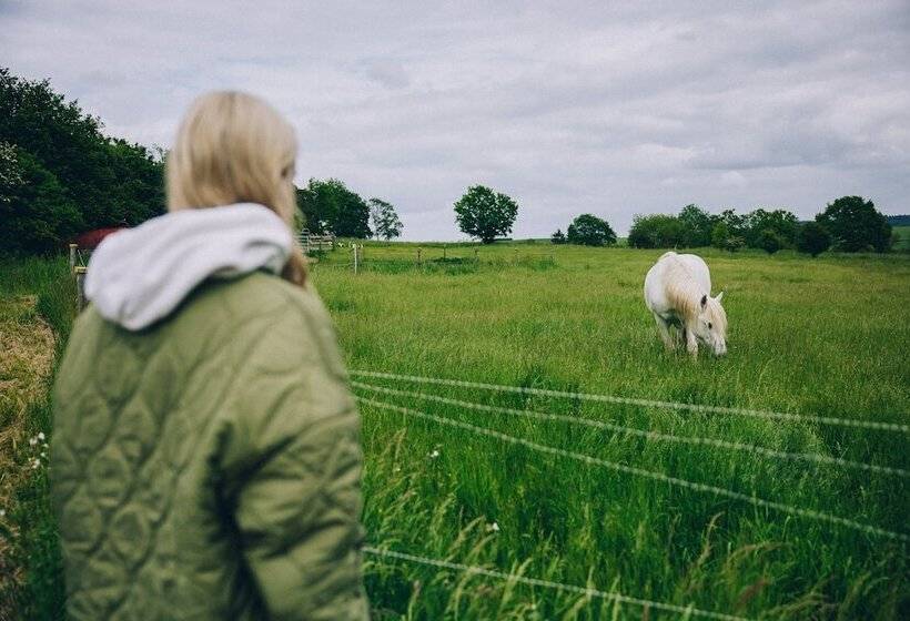 ホテル Fetz   Das Loreley