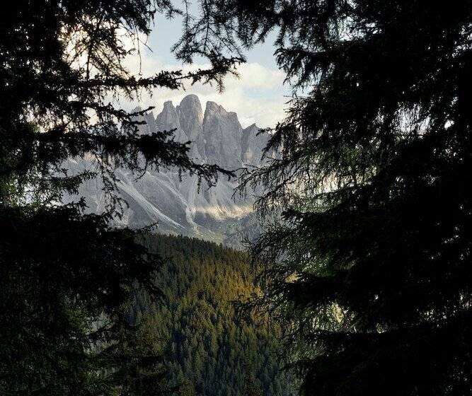 Отель Forestis
