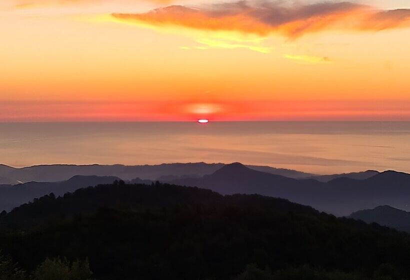 酒店 Flora Handüzü Resort & Wellness Bungalow