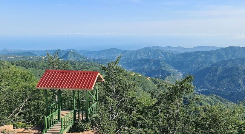 酒店 Flora Handüzü Resort & Wellness Bungalow