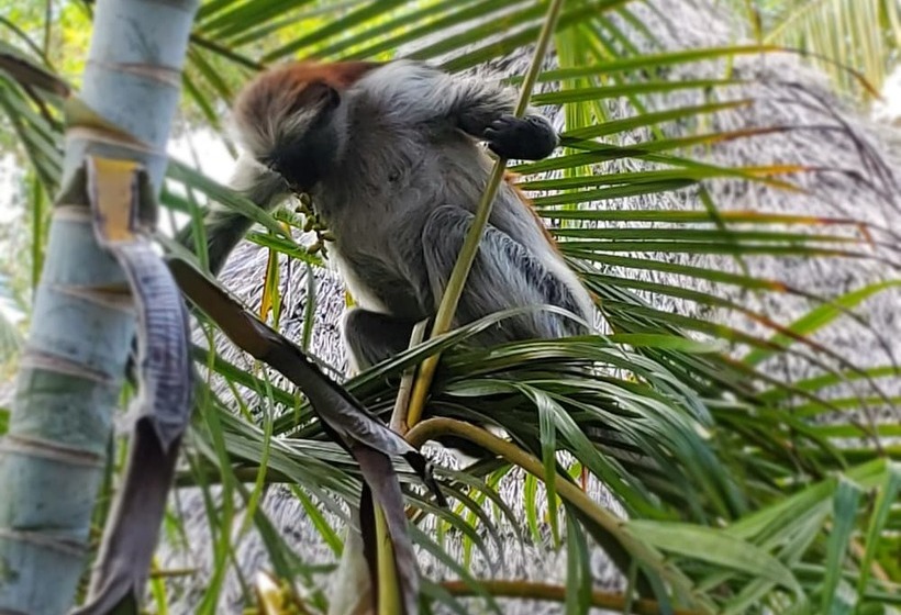 فندق Kilimani Kwetu Beach