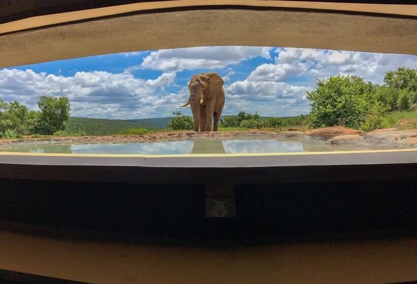 호텔 Laluka Safari Lodge