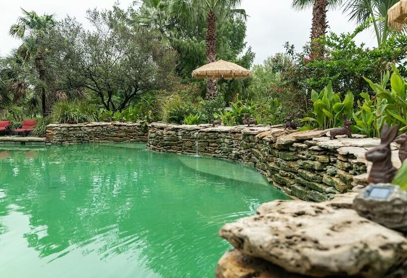 酒店 Moon River Ranch