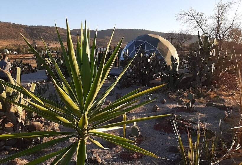 فندق Raices Glamping