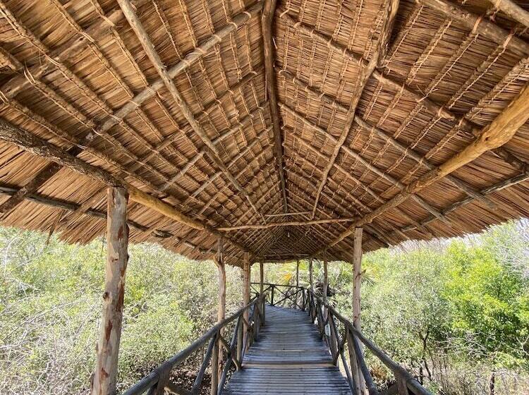 酒店 Saadani Safari Lodge   Bush, River, Beach