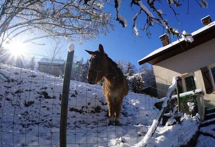 פנסיון A L Orée Du Bois