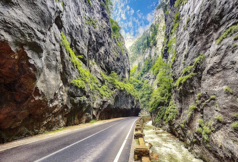 펜션 Gradinile Romane