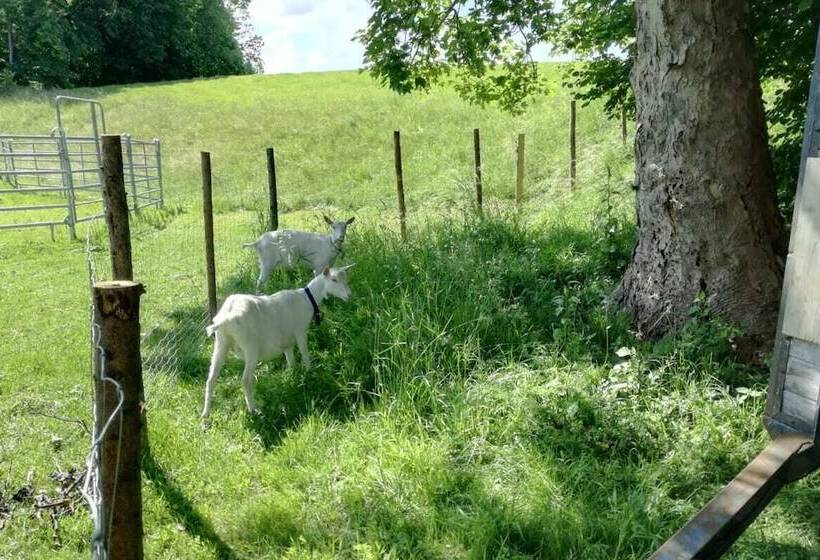 פנסיון Haus Am See