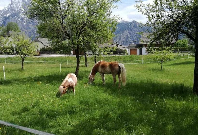 פנסיון Haus Am See