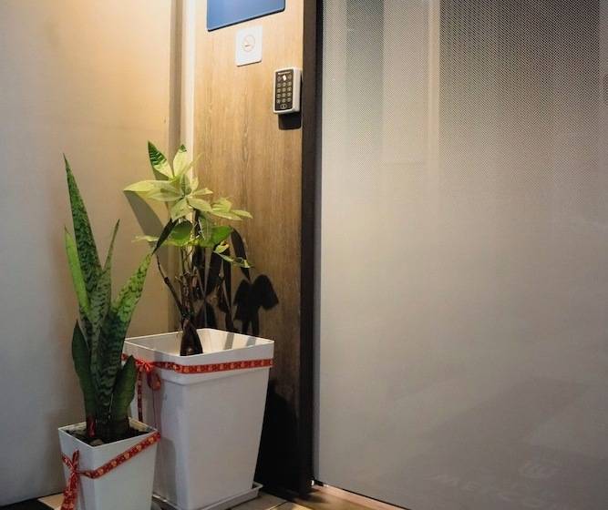 بنسيون Homi Oasis 和逸绿洲