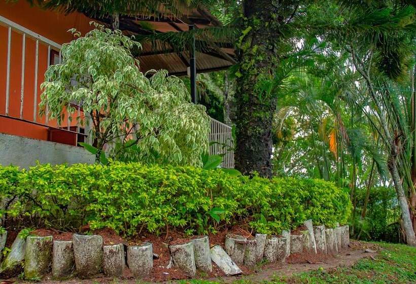 پانسیون Los Palmares Hostel