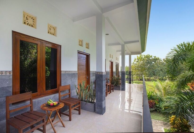 膳宿费 Murna S Guesthouse Bali