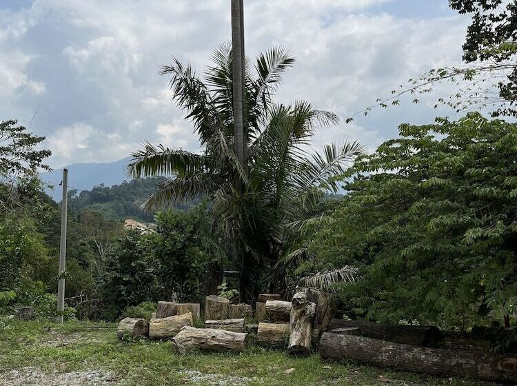 פנסיון Nana S Homestay