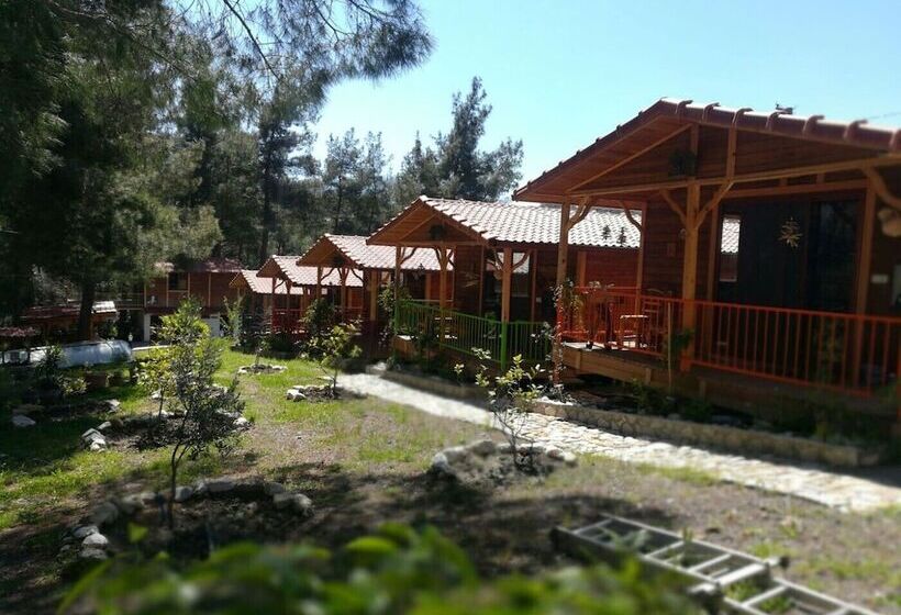 پانسیون Olympos Tanrılar Kulübü