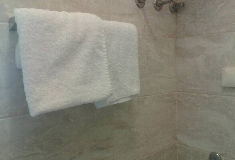 ペンション Studio In