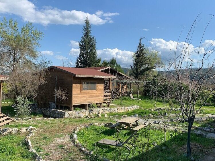 بنسيون Bhavana Gokova