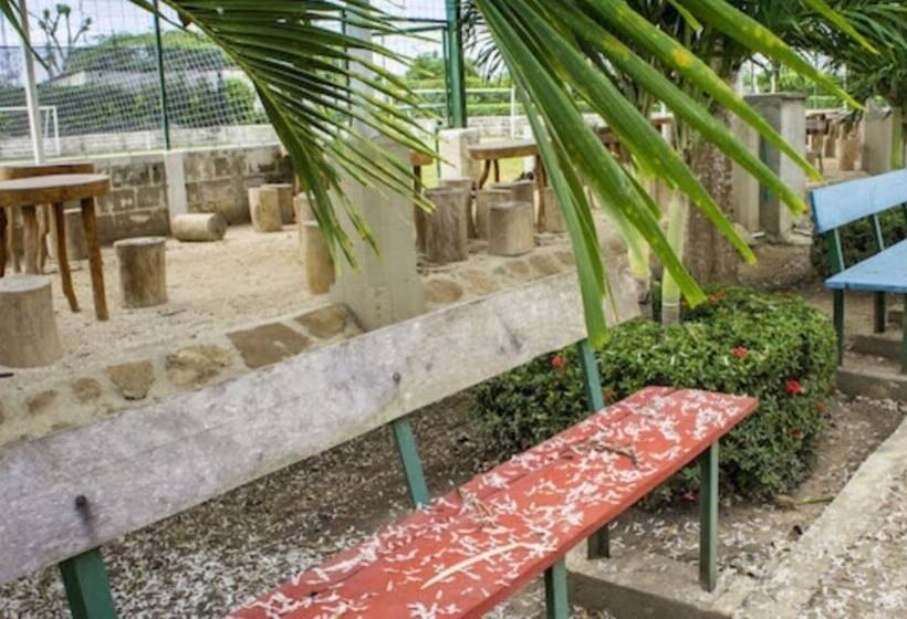 Shalom   Hostel