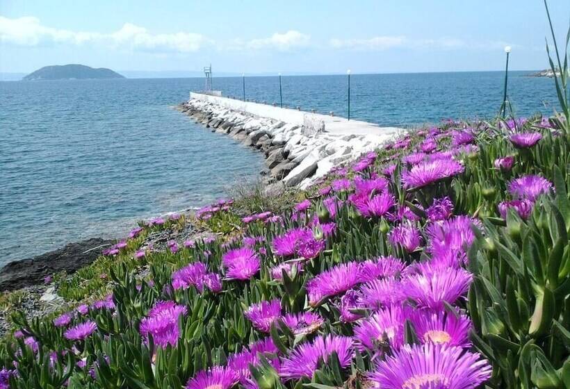 Welcome To Hotel ,,petunia,, In Neos Marmaras,xalkidiki ,greece,in Para18dise