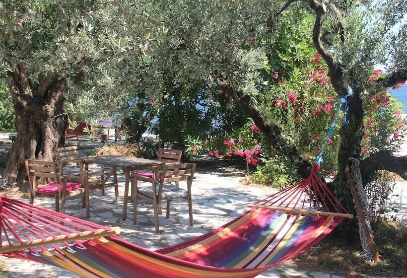 مبيت وإفطار Ada Art Guesthouse