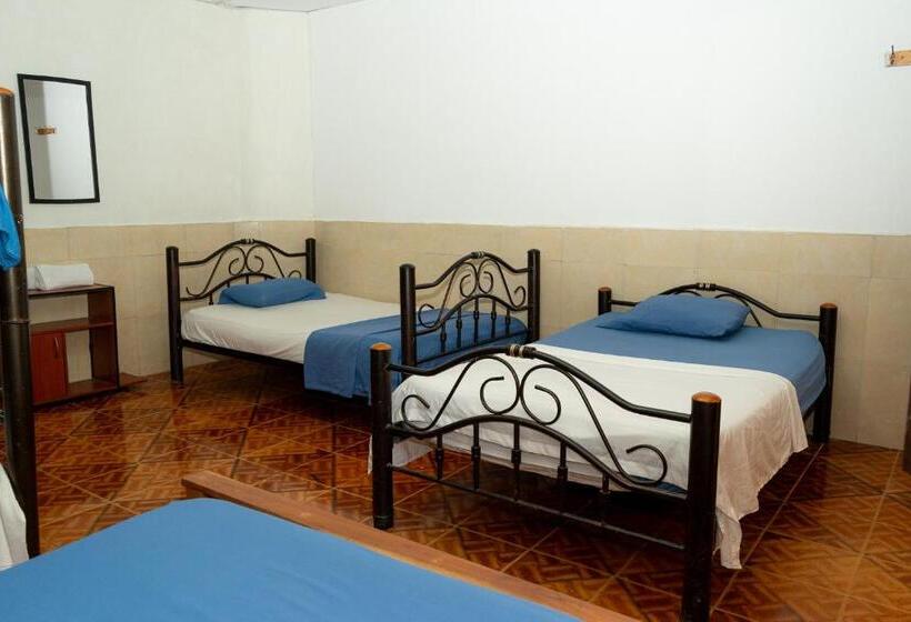 هاستل Maranatha Hostal