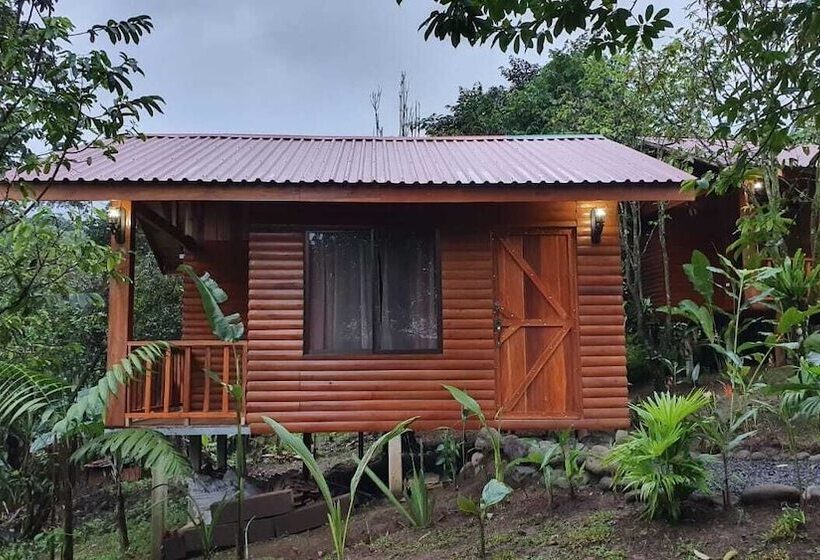Отель Arenal Rustic Lodge