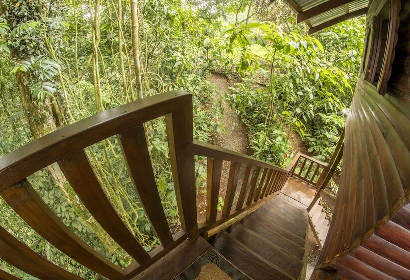 Отель Arenal Rustic Lodge