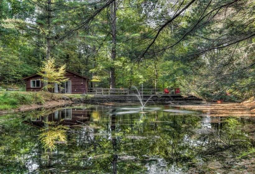 ホテル Magnolia Streamside Resort