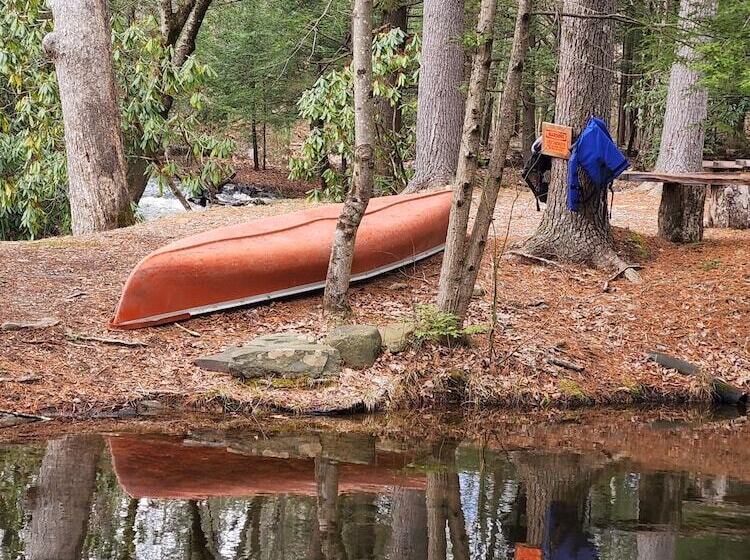 ホテル Magnolia Streamside Resort