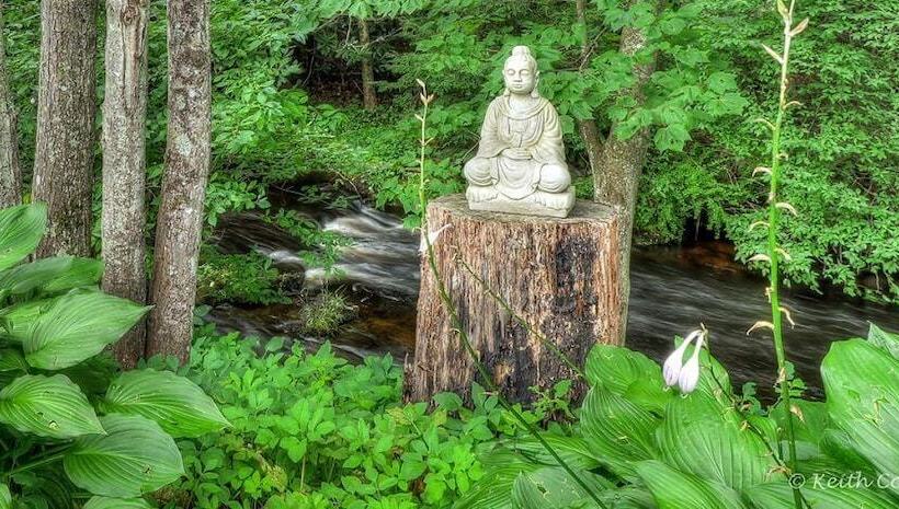 ホテル Magnolia Streamside Resort