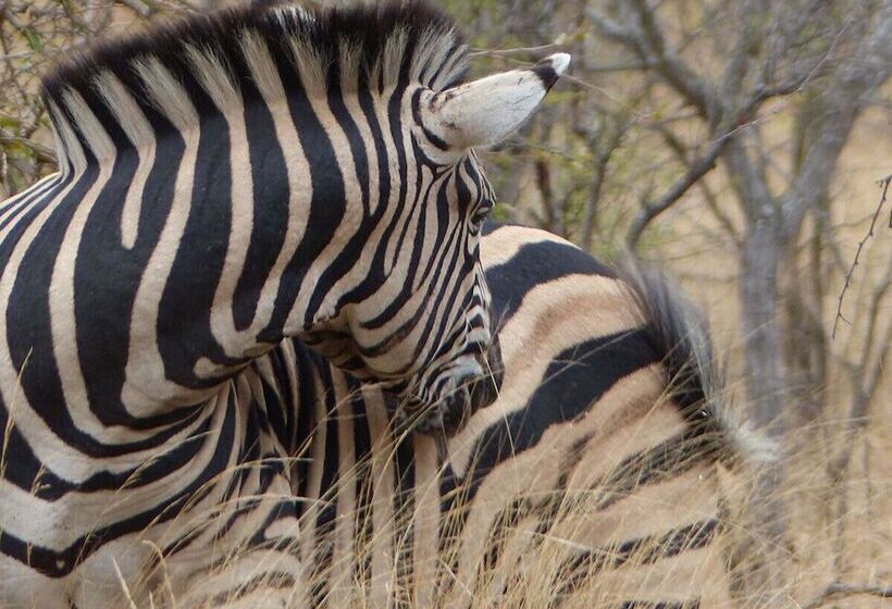 فندق Ruwa River Herbal Clinic & All Inclusive Oasis Spa Resort