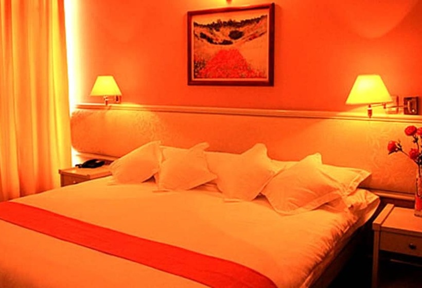 هتل Viña Del Sur