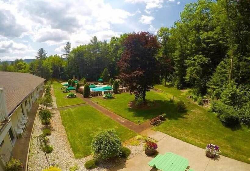 مُتل Golden Apple Inn