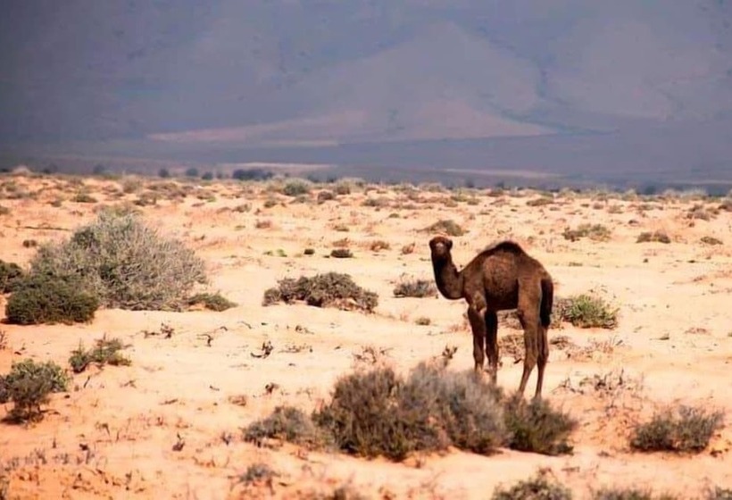 پانسیون Maison L étoile Du Désert