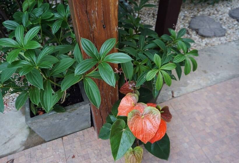 Pension (Hôtel basse catégorie) ท่ามะโอบูทีคโฮมสเตย์ Tha Ma O Bouteak Homestay