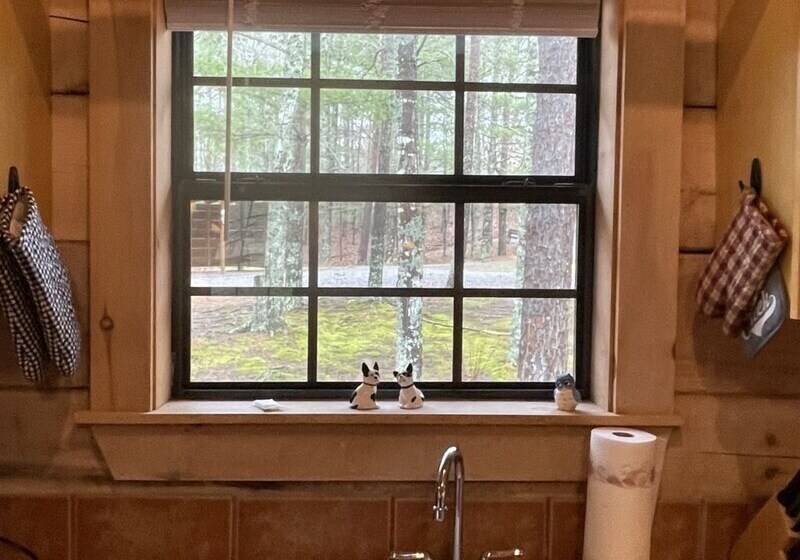 Private And Perfect!   Hot Tub, King Bed, Fireplace   Dog And Motorcycle Friendly Studio Cabin By Re